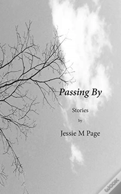 Capa do artigo Passing By: Stories