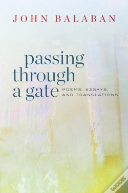 Capa do artigo Passing Through A Gate