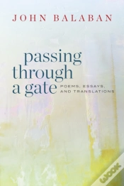 Capa do artigo Passing Through A Gate