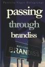 Passing Through Brandiss - Preview