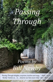 Capa do artigo Passing Through