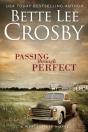 Passing Through Perfect - Preview