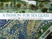 Capa do artigo Passion For Sea Glass