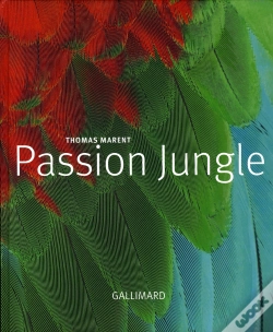 Capa do artigo Passion Jungle