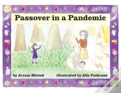 Passover In A Pandemic