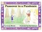 Passover In A Pandemic - Preview