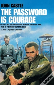 Capa do artigo Password Is Courage