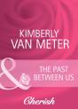 Past Between Us - Preview