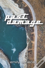 Capa do artigo Past Damage