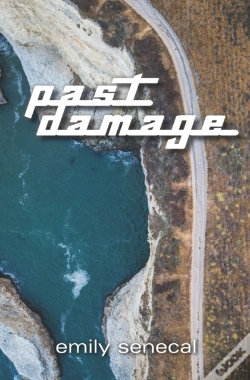 Capa do artigo Past Damage
