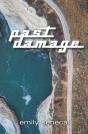 Past Damage - Preview