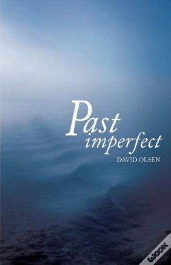 Capa do artigo Past Imperfect