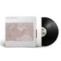Past Imperfect - Vinil - Preview