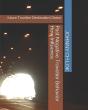 Past Negative Traveller Behavior How Influence - Preview