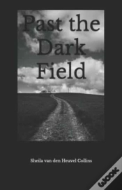 Capa do artigo Past The Dark Field