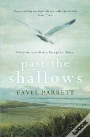 Capa do artigo Past The Shallows