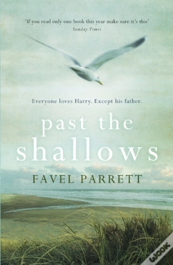 Capa do artigo Past The Shallows