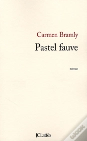 Capa do artigo Pastel Fauve