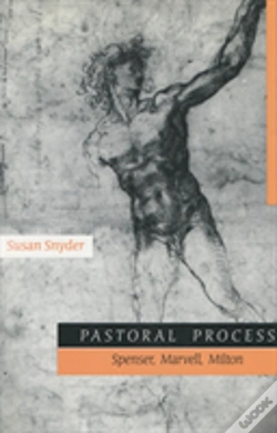 Capa do artigo Pastoral Process
