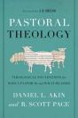 Pastoral Theology - Preview