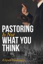 Pastoring Is Not What You Think - Preview