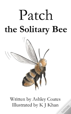 Capa do artigo Patch The Solitary Bee
