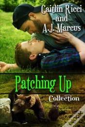 Capa do artigo Patching Up Collection