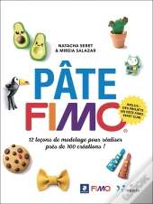 Pâte Fimo ; 12 Leçons De Modelage Pour Réaliser Près De 70 Créations !