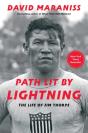 Path Lit By Lightning - Preview