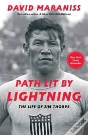 Capa do artigo Path Lit By Lightning
