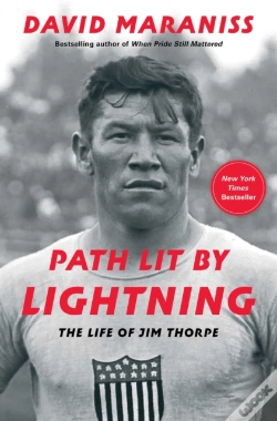 Capa do artigo Path Lit By Lightning