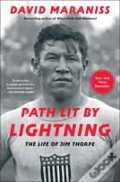 Path Lit By Lightning