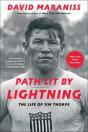Path Lit By Lightning - Preview