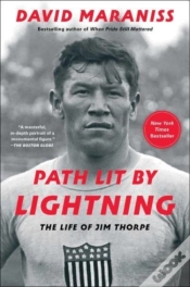 Capa do artigo Path Lit By Lightning