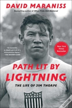 Capa do artigo Path Lit By Lightning