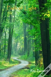 Capa do artigo Path Of Light