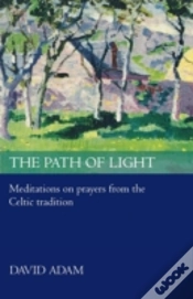 Capa do artigo Path Of Light