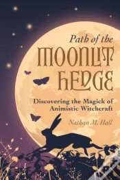 Capa do artigo Path Of The Moonlit Hedge