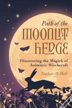Capa do artigo Path Of The Moonlit Hedge
