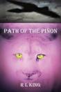 Path Of The Pi On - Preview