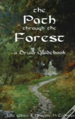 Capa do artigo Path Through The Forest