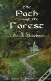 Capa do artigo Path Through The Forest