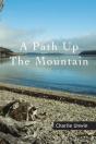 Path Up The Mountain - Preview