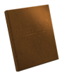 Pathfinder Gamemastery Guide (Special Edition) (P2) - Preview