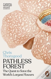 Capa do artigo Pathless Forest