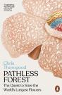 Pathless Forest - Preview