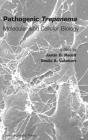 Pathogenic Treponema - Preview