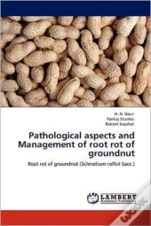 Pathological Aspects And Management Of Root Rot Of Groundnut