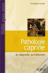 Pathologie Caprine ; Du Diagnostic Au Traitement