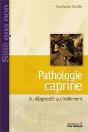 Pathologie Caprine ; Du Diagnostic Au Traitement - Preview